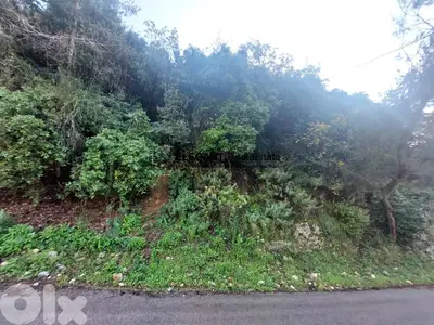 **Hot Deal *|Beautiful Land | Green View |