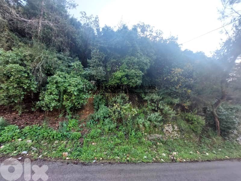 **Hot Deal *|Beautiful Land | Green View | 0