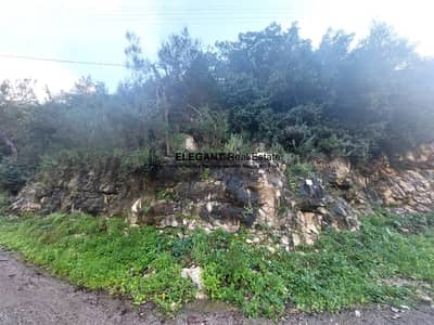 **Hot Deal *|Beautiful Land | Green View |