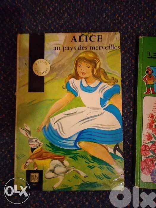 Alice et j'observe les fleurs. 0