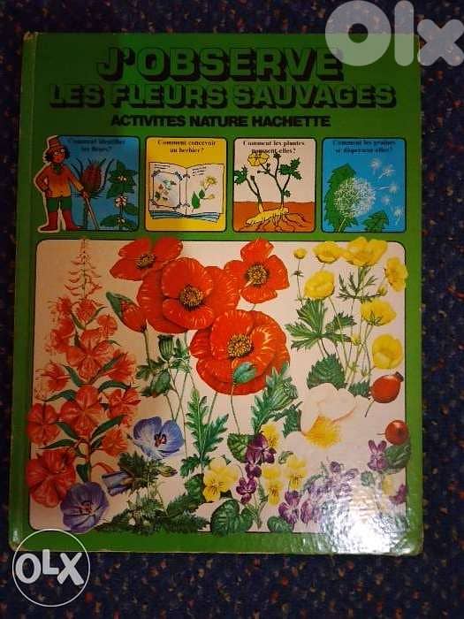 Alice et j'observe les fleurs. 1
