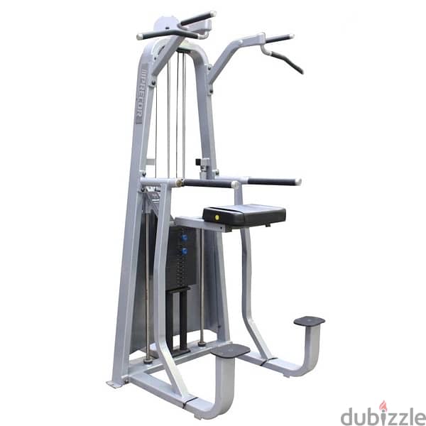 assistant chin/dip press, precor (like new) 0