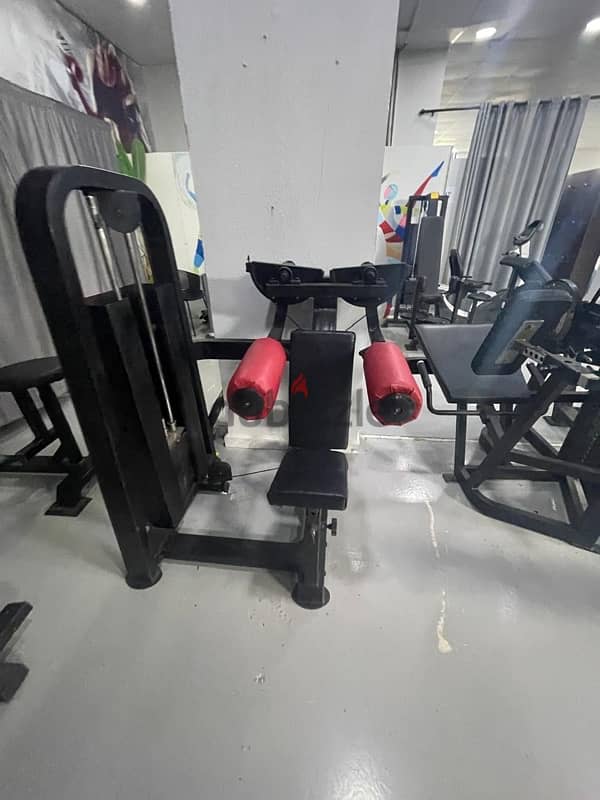 lateral raise machine, like new 1