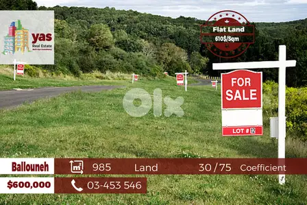 Ballouneh 985m2 | Flat Land | Sea & Mountain View | 30/75 Coefficient