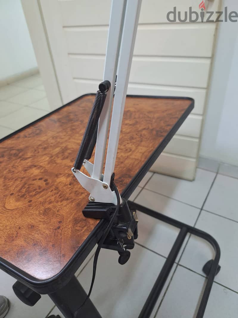 Lighting movable on table 1