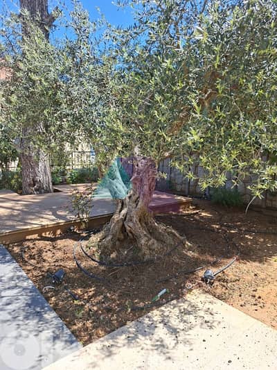Brand New Furnished Triplex Villa+Garden 4 rent in Bikfaya -  بكفيا