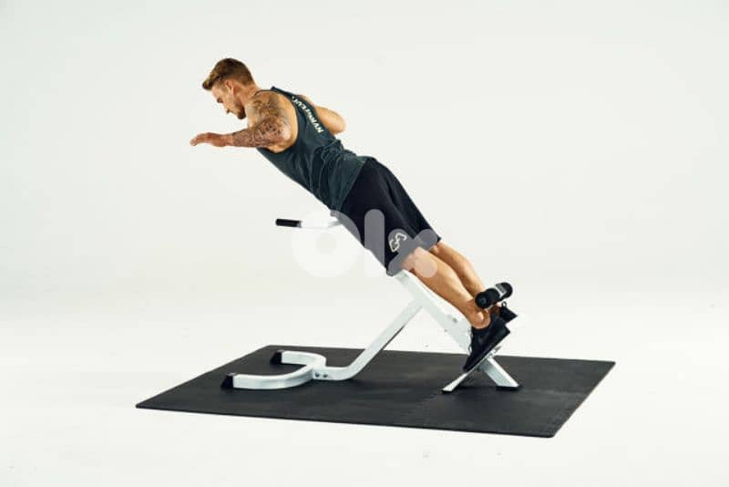 Back Extention Machine GEO sport معدات رياضية متنوعة 0
