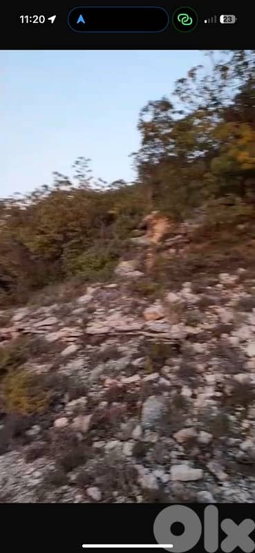 6800m Land Agriculture 5% one floor construct Boutme Chouf Mokhtara 3