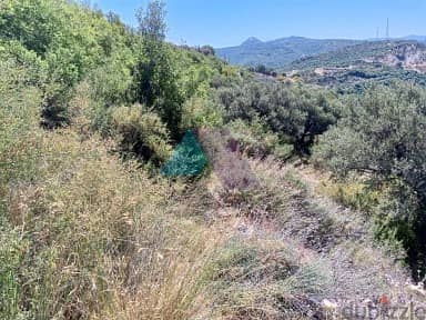 5464 m2 land+open mountain/sea view for sale in Batroun - البترون