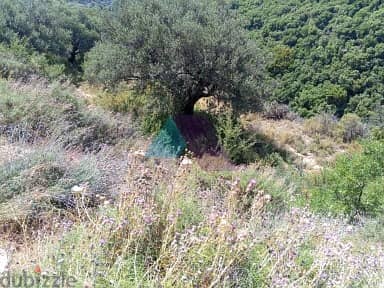 5464 m2 land+open mountain/sea view for sale in Batroun - البترون