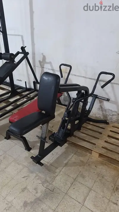 hammer back raw