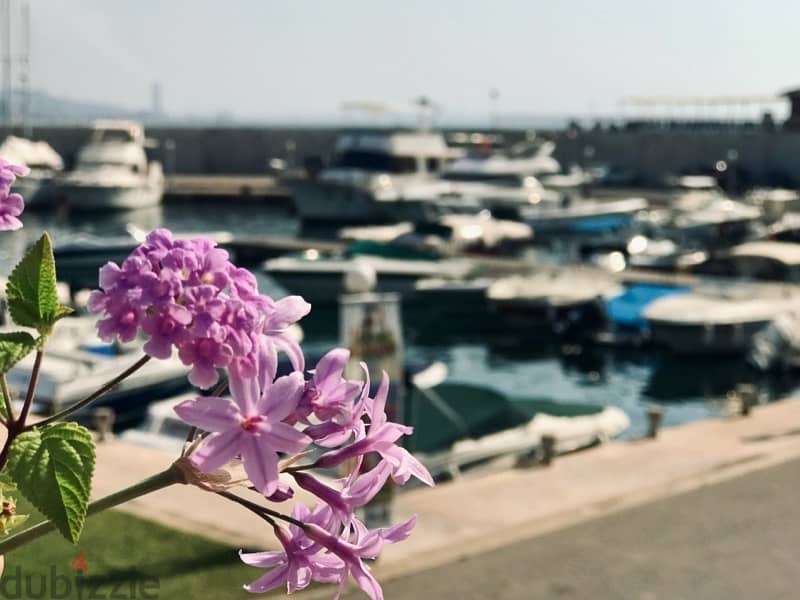 Newly Spacious 2BR/3BA Chalet in AquaMarina Club 15