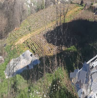 Land for sale in Mayrouba RB188 أرض للبيع في ميروبا،