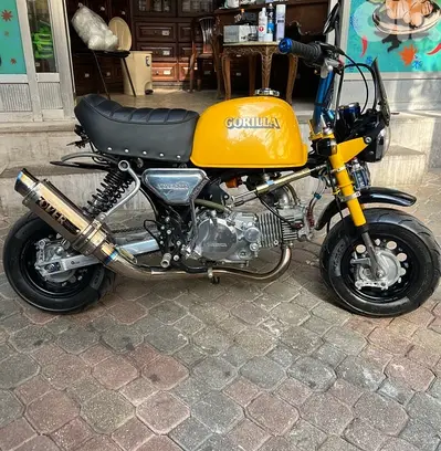 Honda Gorilla 124 cc Takegawa tuned performed