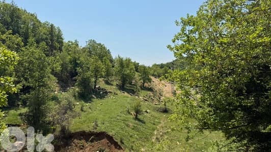 RWK405GZ - Land For Sale In Kfardebian - أرض للبيع في كفردبيان