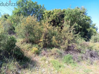 1330 m2 land+ open mountain view for sale in Assia - للبيع في آسيا