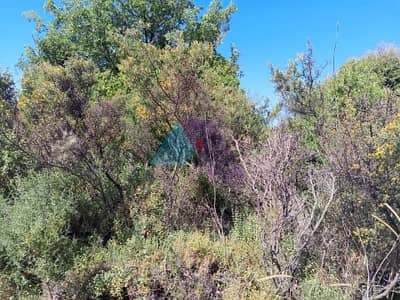 1330 m2 land+ open mountain view for sale in Assia - للبيع في آسيا