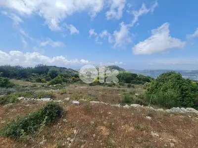 Land for sale in Bchaale-Batroun أرض للبيع في بشعلة - البترون