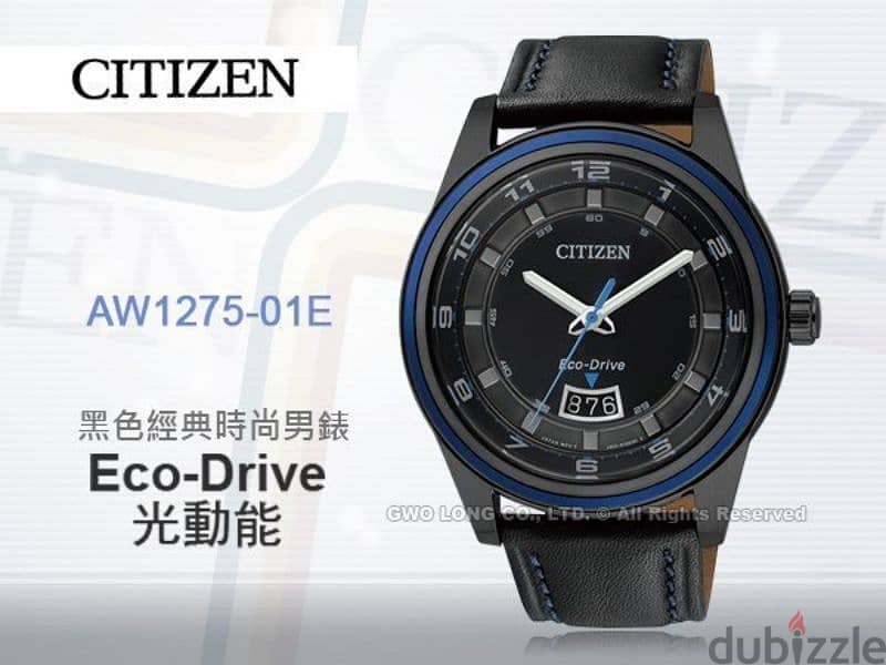 Citizen Watch Eco Drive (Work on Light) 0