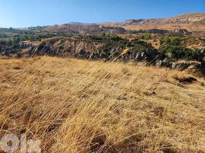 Land for sale in Majdel Tarshish ارض للبيع في مجدل ترشيش