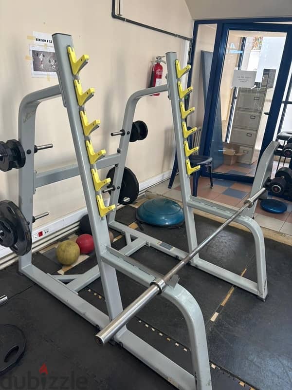 squat rack 1