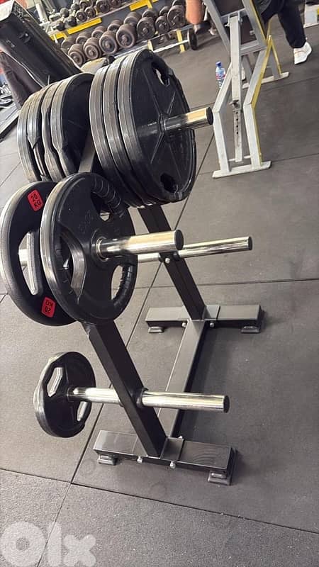 stand for olympic plates 1