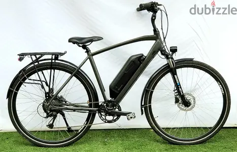 Prophete E-Bike 500w