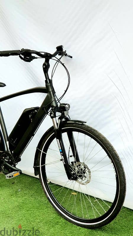Prophete E-Bike 500w 3