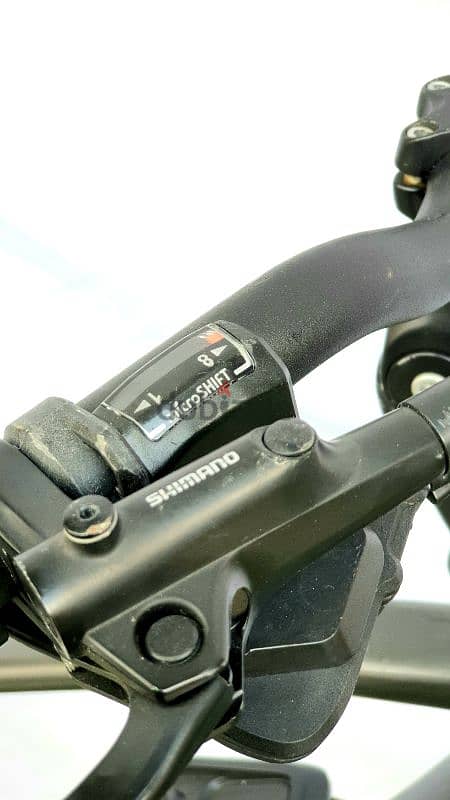 Prophete E-Bike 500w 6