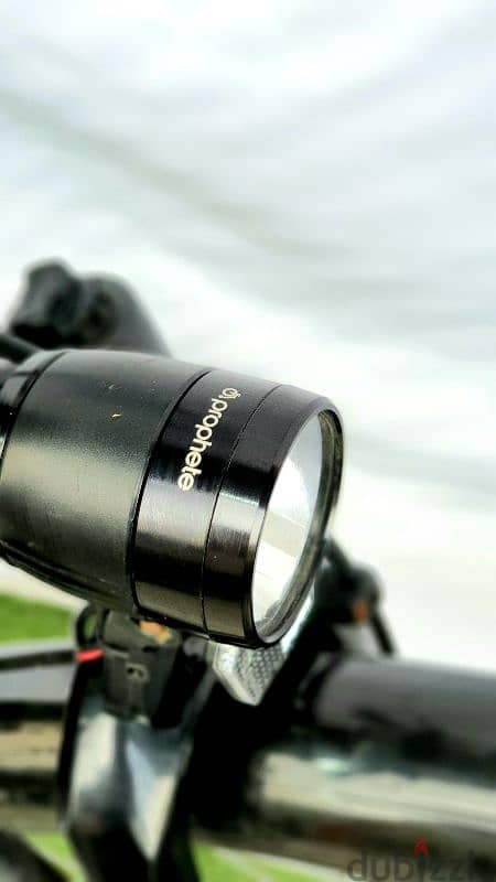 Prophete E-Bike 500w 7