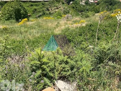 3000m2 land + open mountain view for sale in Faraya-أرض للبيع في فاريا