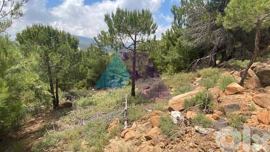 1200m2 land+mountain view for sale in Qanat Bakish - أرض للبيع في بكيش