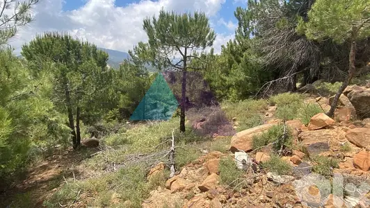 1200m2 land+mountain view for sale in Qanat Bakish - أرض للبيع في بكيش
