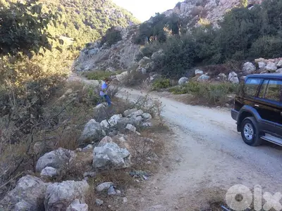 land for sale in artaba jbeil أرض للبيع في قرطبا جبيل