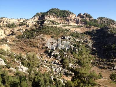 land for sale in artaba jbeil أرض للبيع في قرطبا جبيل