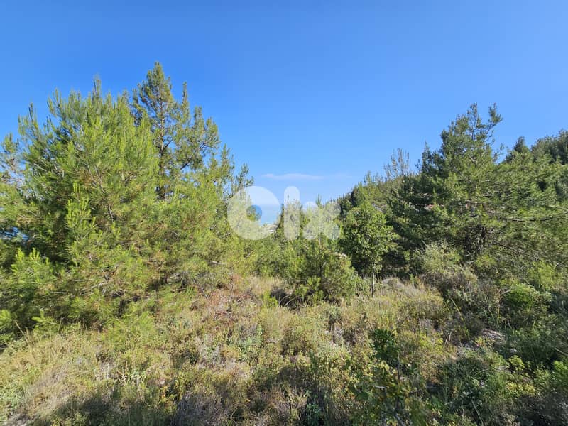 RWB360EA - Land for sale in Safra 0