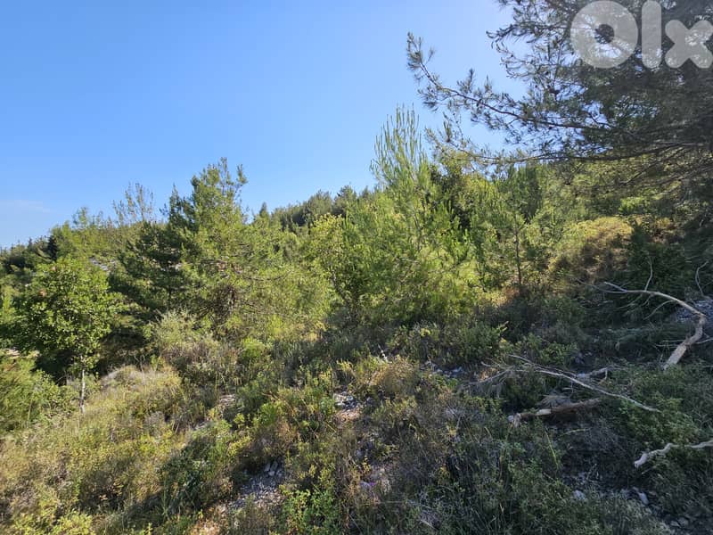 RWB360EA - Land for sale in Safra 1
