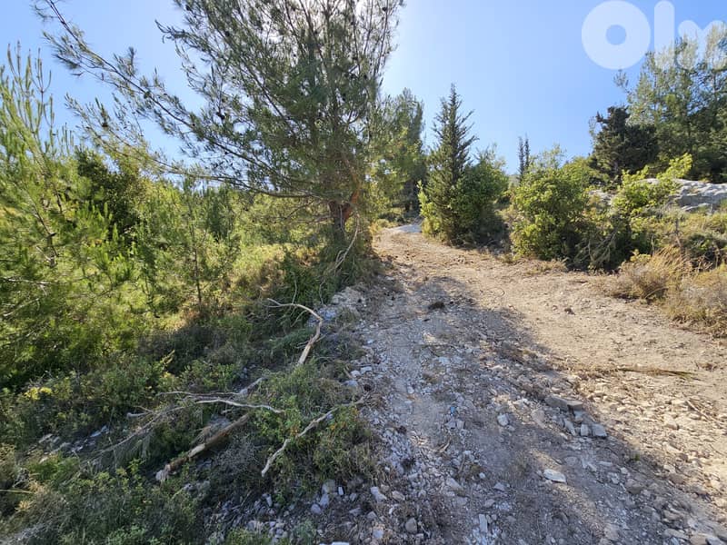 RWB360EA - Land for sale in Safra 2