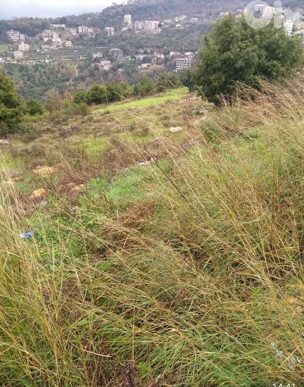 Land for Sale in Chwaya - Prime Investment Opportunity 0