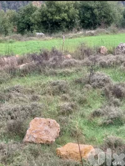 Land for Sale in Chwaya - Prime Investment Opportunity