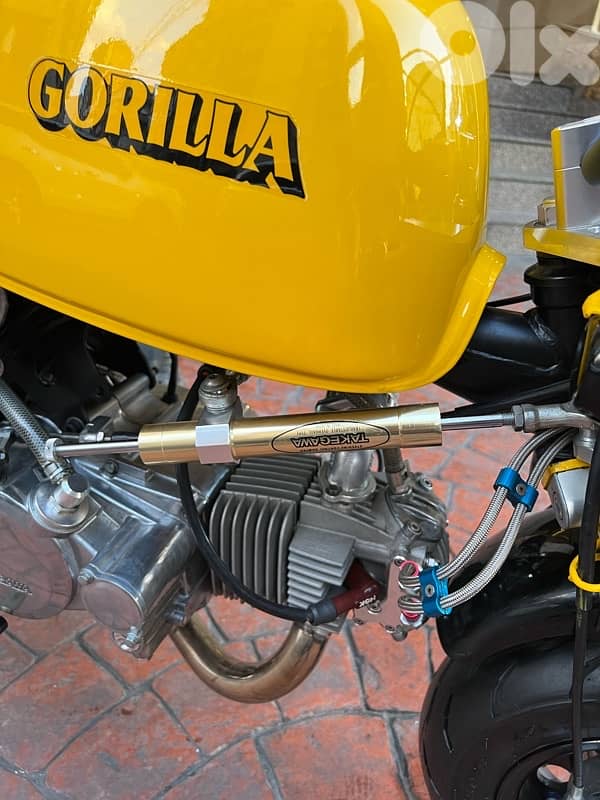 Honda Gorilla Tuned and performed with all additionals 1