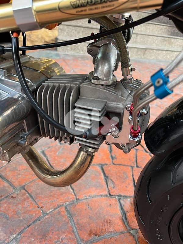 Honda Gorilla Tuned and performed with all additionals 2