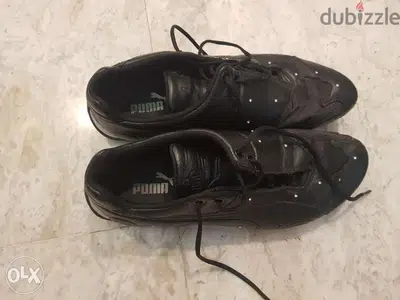 Puma shoes (Authentic brand)