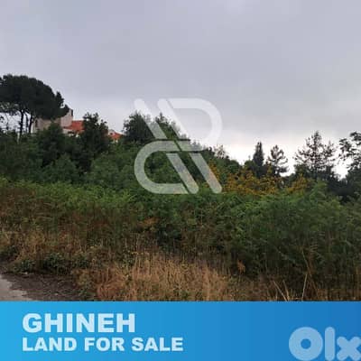 Land for sale in Ghineh - أرض للبيع في الغينه