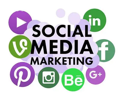 WE ELEVATE YOUR BUSINESS on SOCIALMEDIA PLATFORMS to PREMIUM STANDARDS