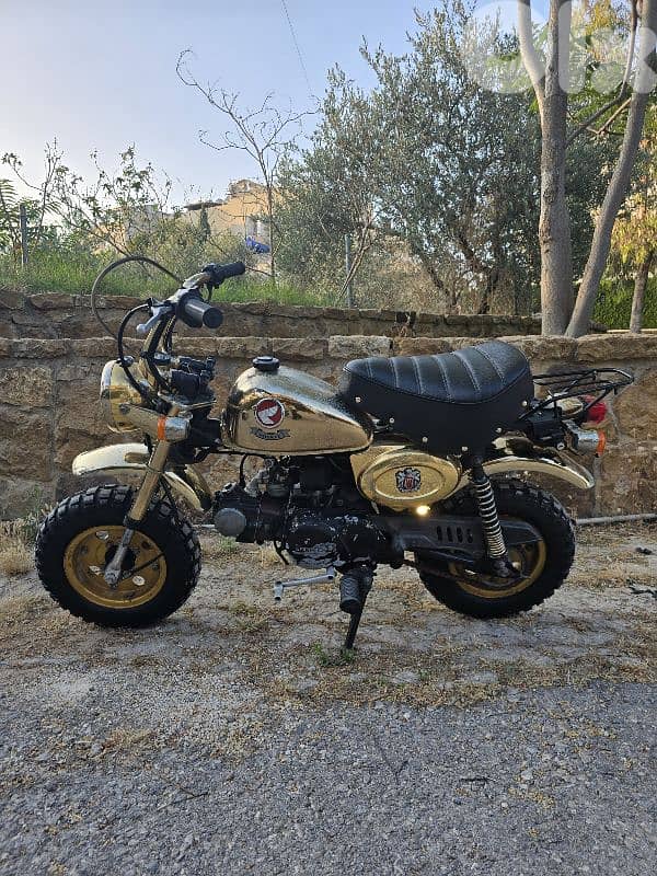 monkey gold limited edition 4