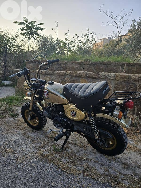 monkey gold limited edition 6