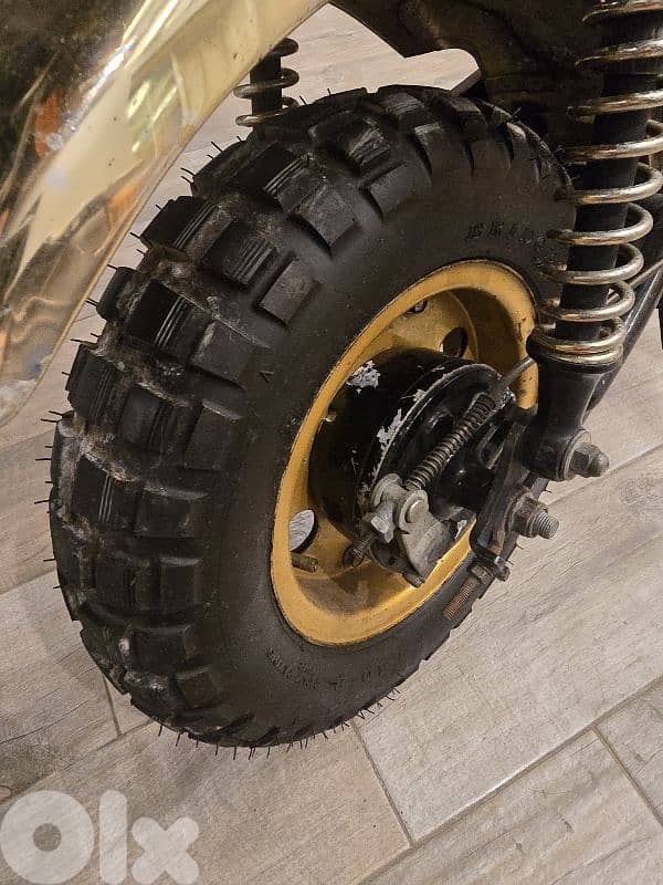 monkey gold limited edition 7