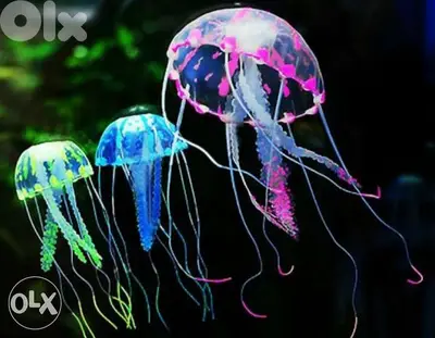 Magical luminous aquarium jellyfish