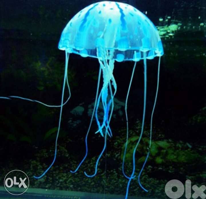 Magical luminous aquarium jellyfish 2